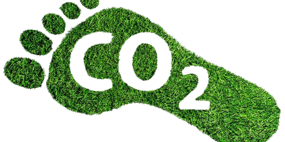 CO2 Reduction